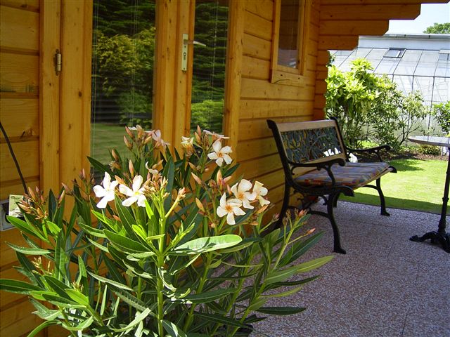 Sonnengarten 010.jpg